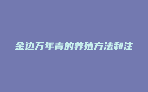 金边万年青的养殖方法和注意事项