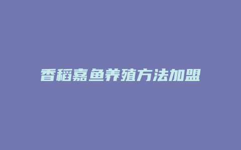 香稻嘉鱼养殖方法加盟