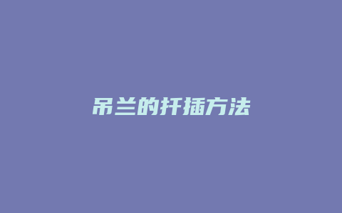 吊兰的扦插方法