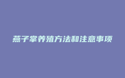 燕子掌养殖方法和注意事项