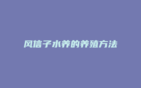 风信子水养的养殖方法