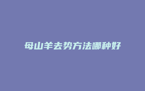 母山羊去势方法哪种好