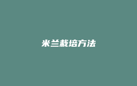 米兰栽培方法