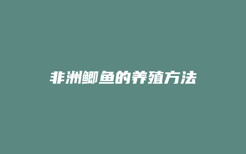 非洲鲫鱼的养殖方法