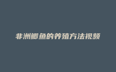 非洲鲫鱼的养殖方法视频