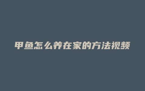 甲鱼怎么养在家的方法视频教程