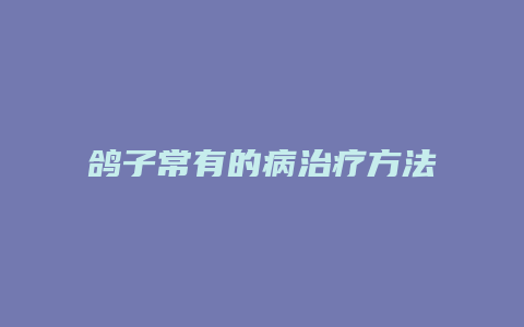 鸽子常有的病治疗方法