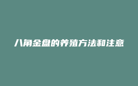 八角金盘的养殖方法和注意事项