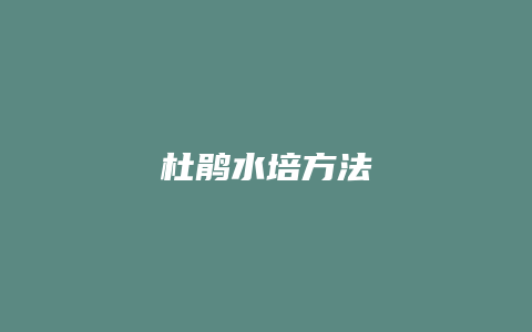 杜鹃水培方法