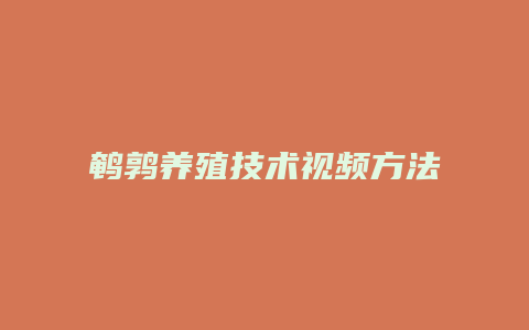 鹌鹑养殖技术视频方法