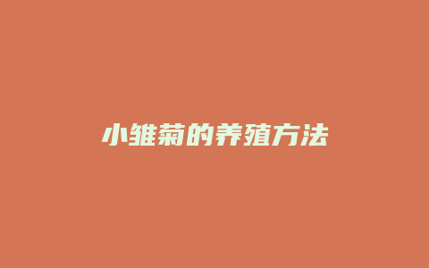 小雏菊的养殖方法