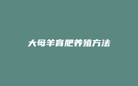 大母羊育肥养殖方法