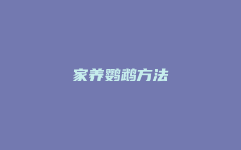 家养鹦鹉方法