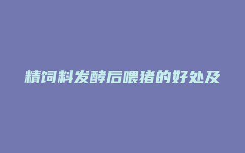 精饲料发酵后喂猪的好处及方法