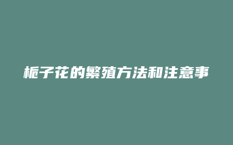 栀子花的繁殖方法和注意事项