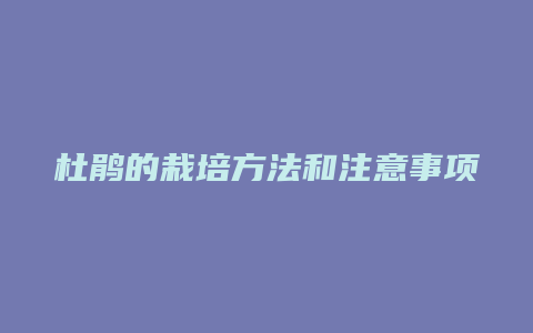 杜鹃的栽培方法和注意事项