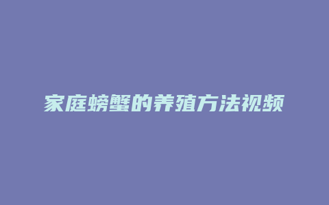 家庭螃蟹的养殖方法视频