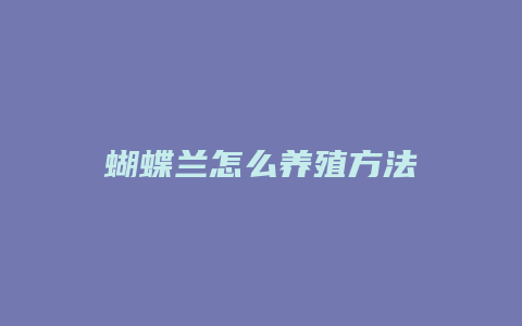 蝴蝶兰怎么养殖方法