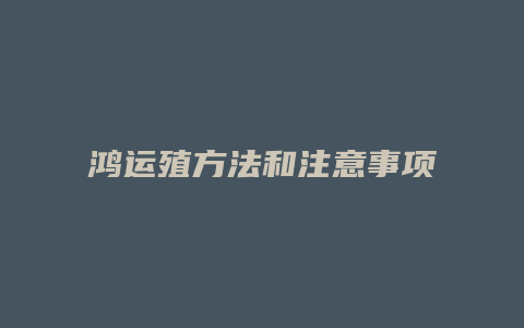 鸿运殖方法和注意事项