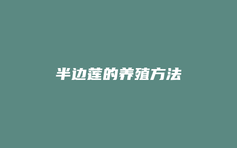 半边莲的养殖方法