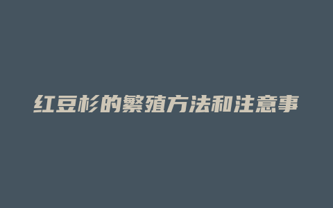 红豆杉的繁殖方法和注意事项