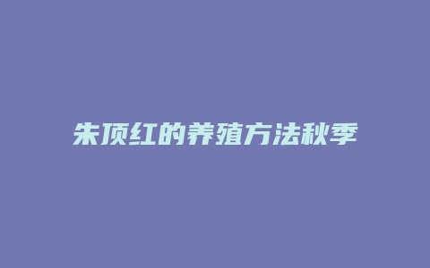 朱顶红的养殖方法秋季