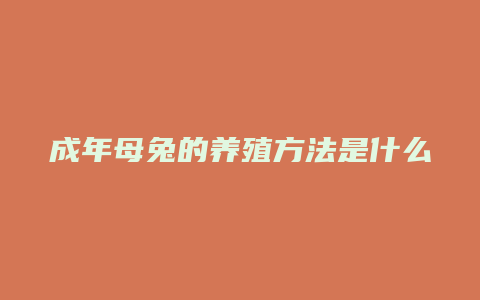 成年母兔的养殖方法是什么