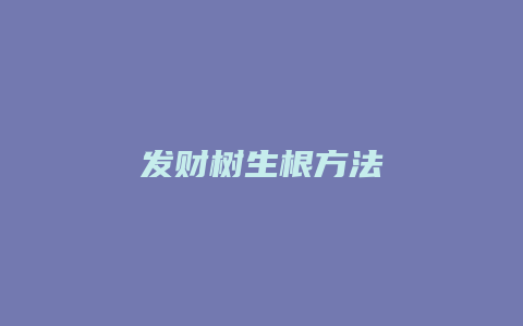 发财树生根方法