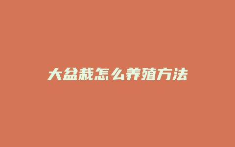 大盆栽怎么养殖方法