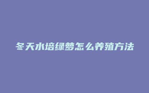 冬天水培绿萝怎么养殖方法和注意事项