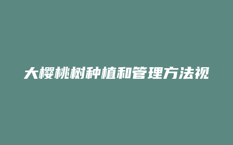 大樱桃树种植和管理方法视频播放