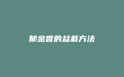 郁金香的盆栽方法