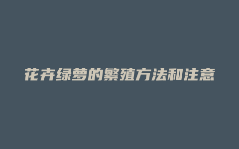 花卉绿萝的繁殖方法和注意事项