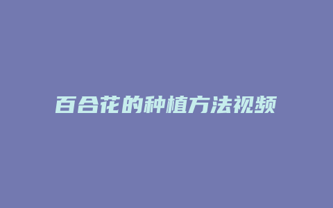 百合花的种植方法视频