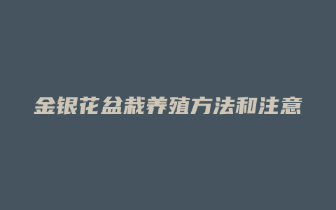 金银花盆栽养殖方法和注意事项