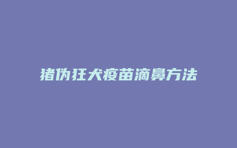 猪伪狂犬疫苗滴鼻方法