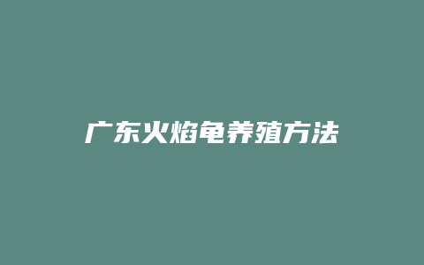 广东火焰龟养殖方法