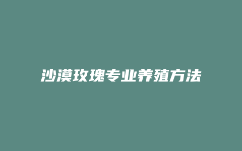 沙漠玫瑰专业养殖方法