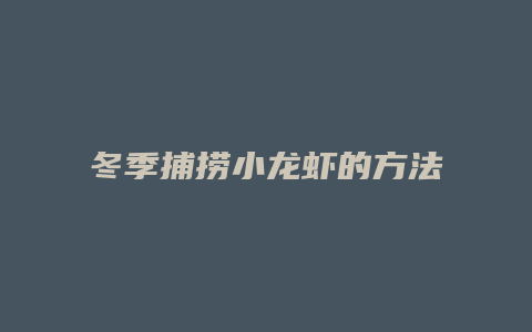 冬季捕捞小龙虾的方法