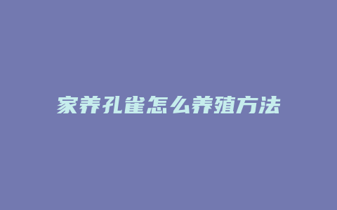 家养孔雀怎么养殖方法