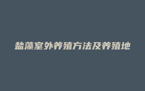 盐藻室外养殖方法及养殖地