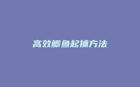 高效鲫鱼起捕方法