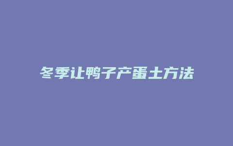 冬季让鸭子产蛋土方法