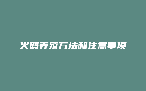 火鹤养殖方法和注意事项