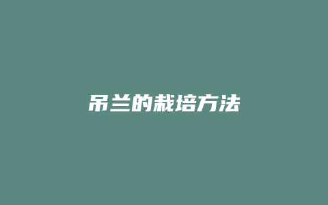 吊兰的栽培方法