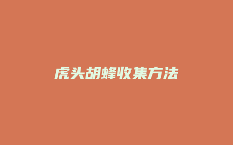 虎头胡蜂收集方法