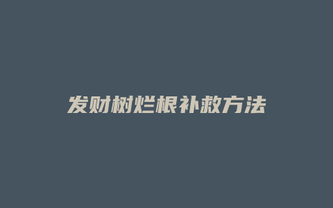 发财树烂根补救方法