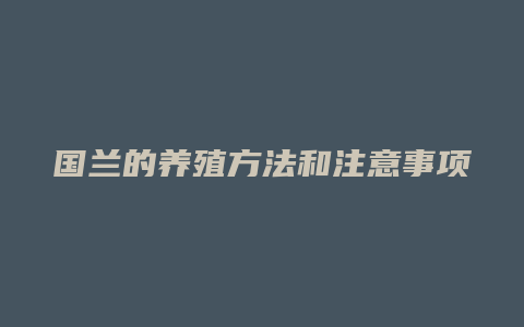 国兰的养殖方法和注意事项