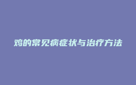 鸡的常见病症状与治疗方法