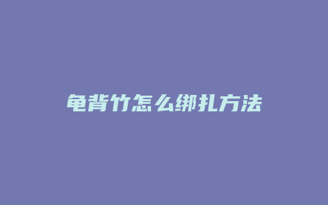 龟背竹怎么绑扎方法